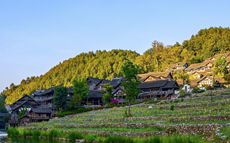 助力旅发委职能转变和旅游产...